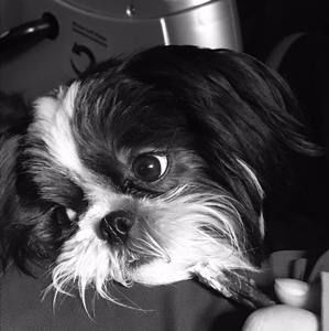 Meet your Posher, Kim